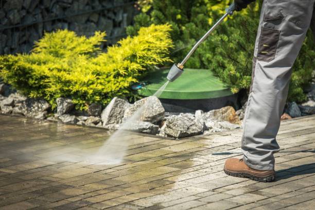 Best Sidewalk and Walkway Cleaning  in Tiger Point, FL